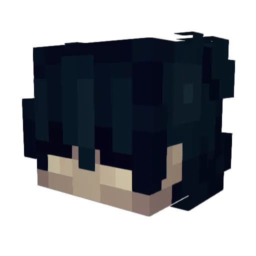 xXRepsajXx13 Minecraft avatar head, 3D render