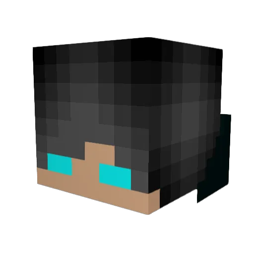 xXRetroussemink Minecraft avatar head, 3D render