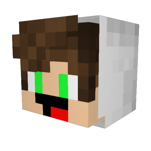 xXRyanCraftXx Minecraft avatar head, 3D render