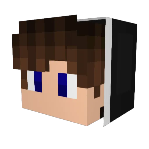 xXSEBYXx007 Minecraft avatar head, 3D render