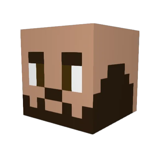 xXSTATESXx Minecraft avatar head, 3D render