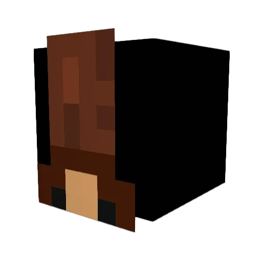xXSWAGL0RDXx Minecraft avatar head, 3D render