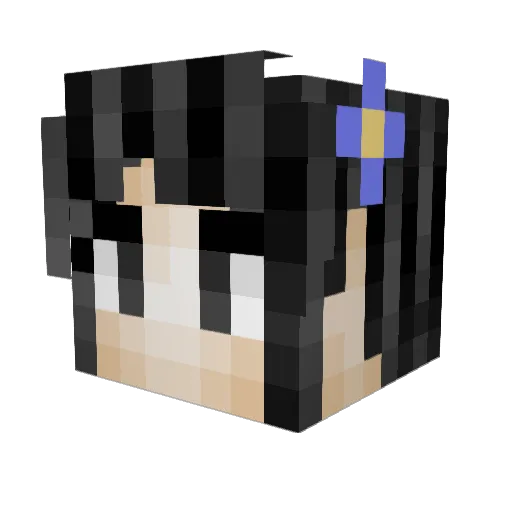 xXSWAGLORDCURYXx Minecraft avatar head, 3D render