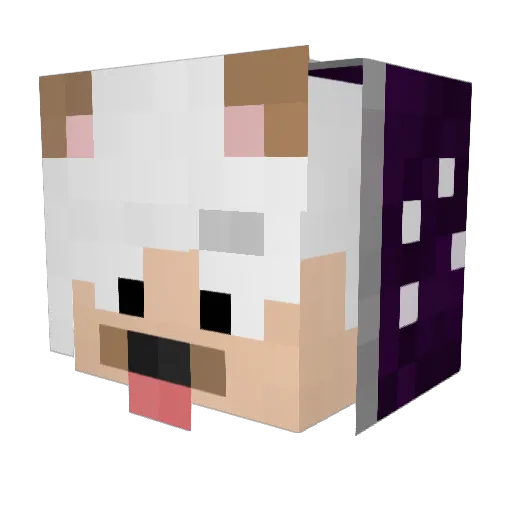 xXSamuelBrXx Minecraft avatar head, 3D render