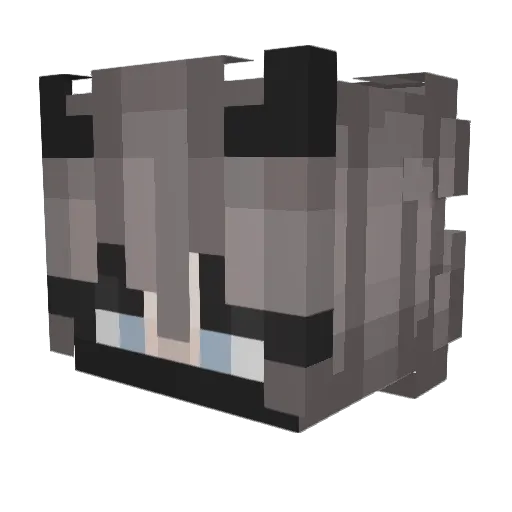 xXShadowNovaXx1 Minecraft avatar head, 3D render