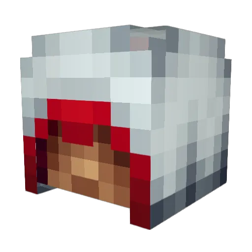 xXShadowSamuriXx Minecraft avatar head, 3D render