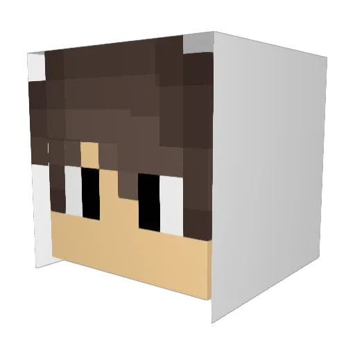 xXShadowXx1950 Minecraft avatar head, 3D render