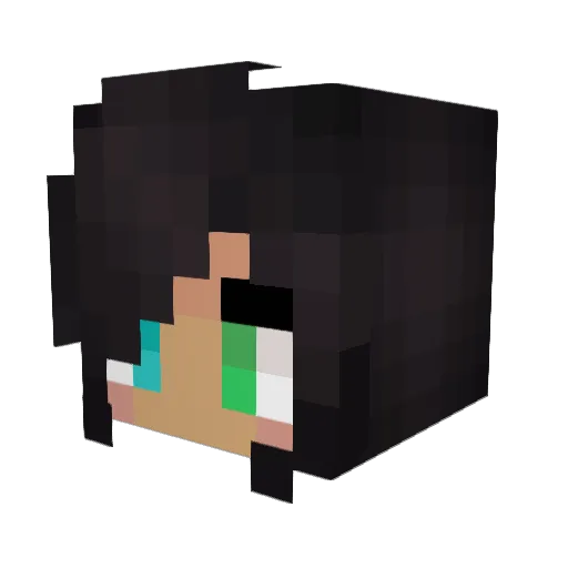 xXShyShyXx Minecraft avatar head, 3D render