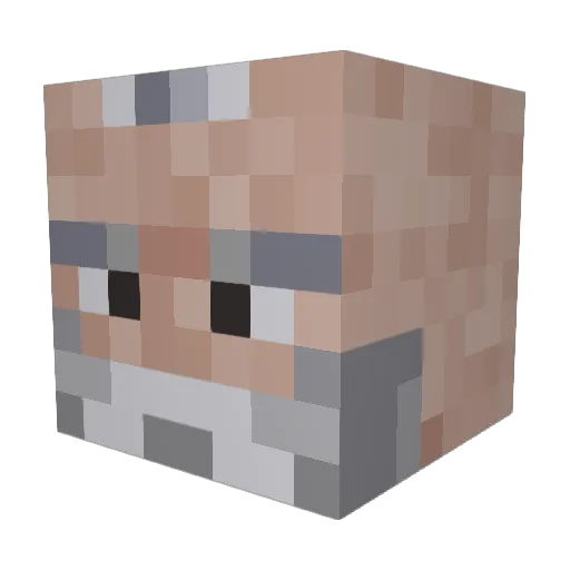 xXSillyHoboXx Minecraft avatar head, 3D render