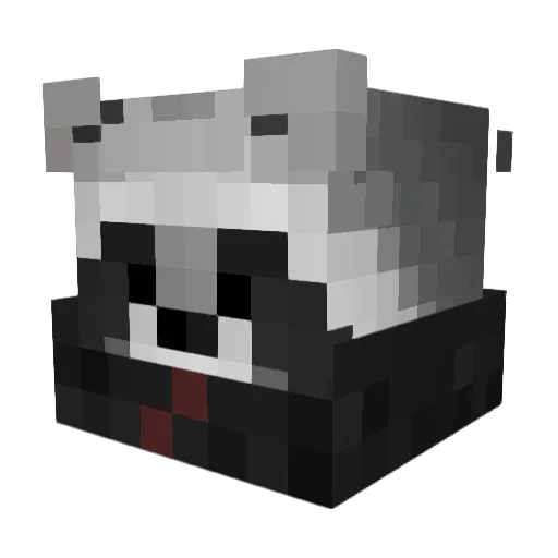 xXSkeletonJackXx Minecraft avatar head, 3D render