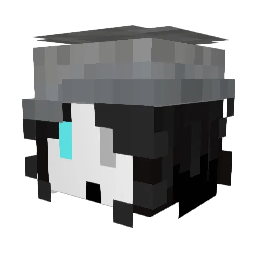 xXSkullT0rchXx Minecraft avatar head, 3D render