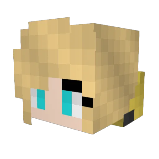 xXSkyTomXx Minecraft avatar head, 3D render