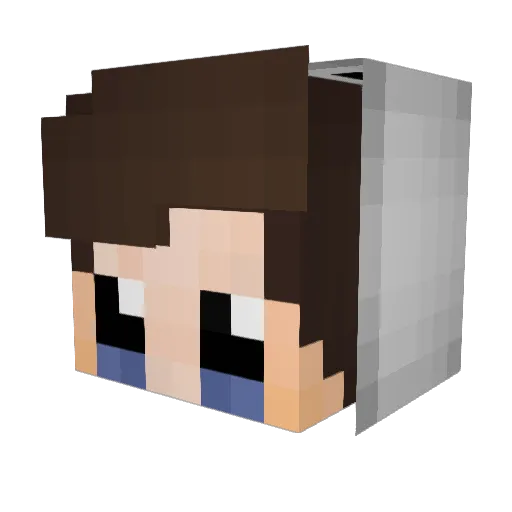 xXSlimeShadyXx Minecraft avatar head, 3D render