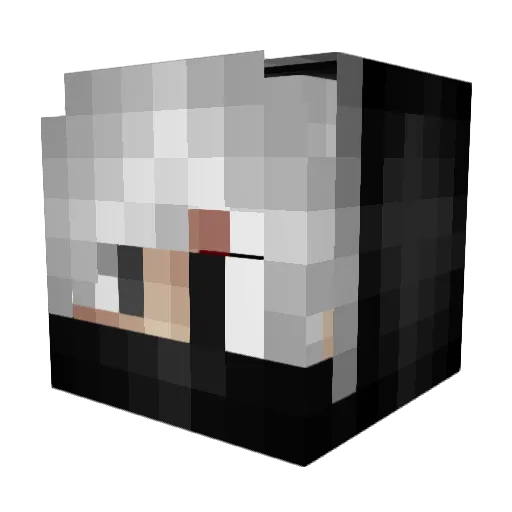 xXSnakeeyezXx Minecraft avatar head, 3D render