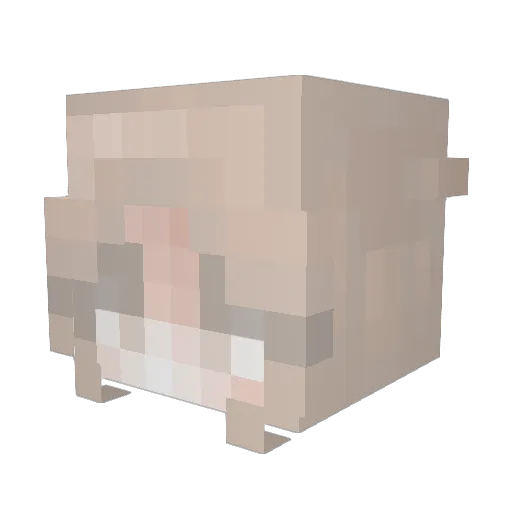 xXStarScapeXx Minecraft avatar head, 3D render