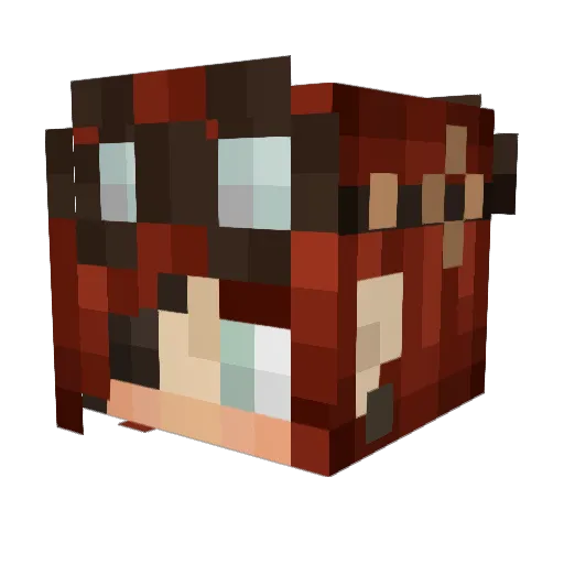 xXSteamXx Minecraft avatar head, 3D render
