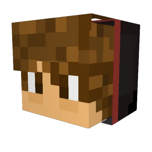 xXStonerGodXx Minecraft avatar head, 3D render