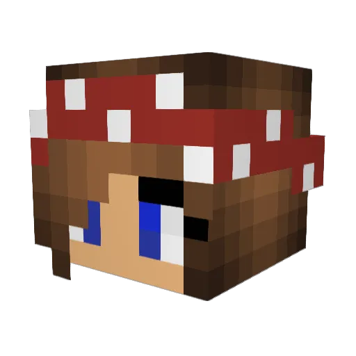 xXSturmXx Minecraft avatar head, 3D render