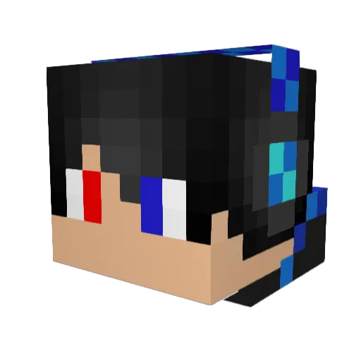 xXSwAgXx8 Minecraft avatar head, 3D render