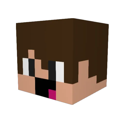 xXTakeItEasyXx Minecraft avatar head, 3D render