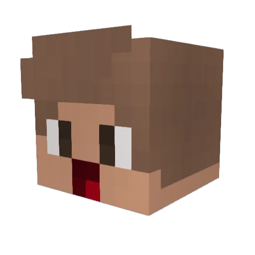 xXTeam42Xx Minecraft avatar head, 3D render