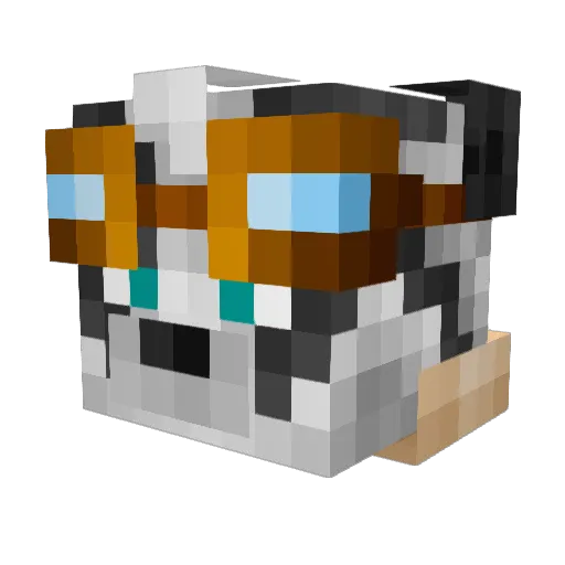 xXThoughtlessXx Minecraft avatar head, 3D render