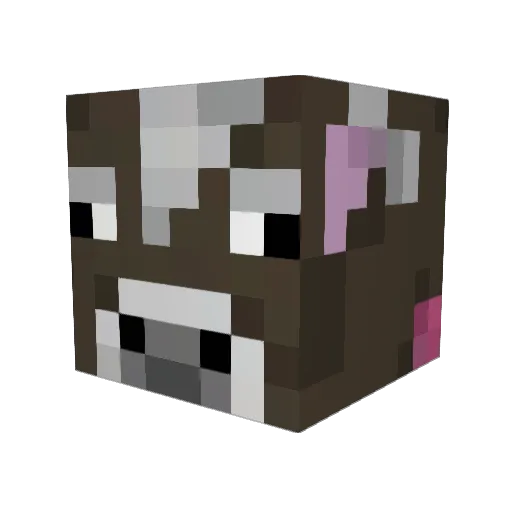 xXTurboTobiXx Minecraft avatar head, 3D render
