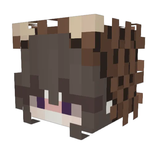 xXVikulaXx Minecraft avatar head, 3D render