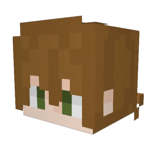 xXVoidNationXx Minecraft avatar head, 3D render