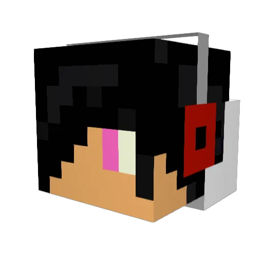 xXWaffle_PuppyXx Minecraft avatar head, 3D render
