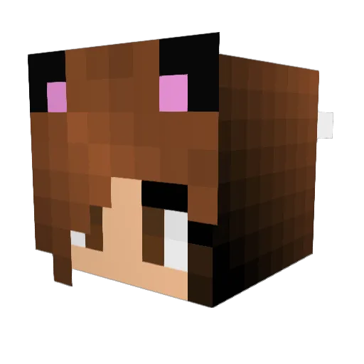 xXWolfXx768 Minecraft avatar head, 3D render