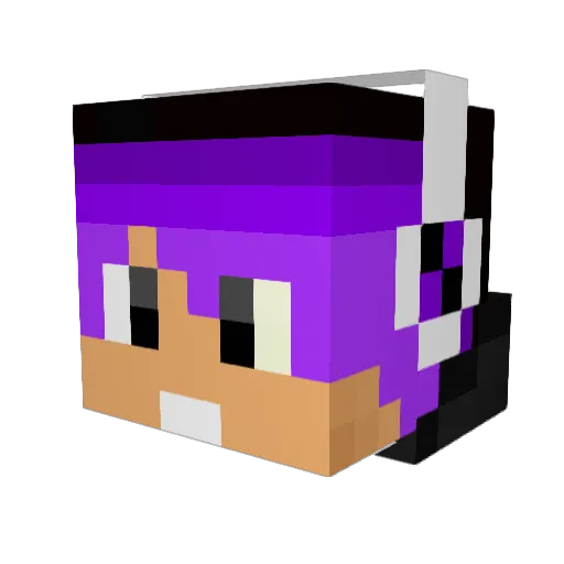 xXWotanXx Minecraft avatar head, 3D render