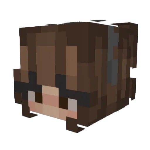 xXZockerMausXx Minecraft avatar head, 3D render