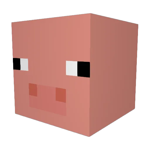 xX_CoolGamer_Xx Minecraft avatar head, 3D render