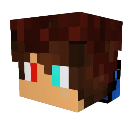 xX_D3B34ST_Xx Minecraft avatar head, 3D render