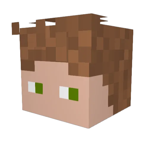 xX_DragonGuy_Xx Minecraft avatar head, 3D render