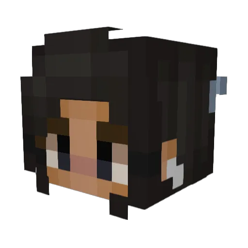 xX_GamerPix_Xx Minecraft avatar head, 3D render