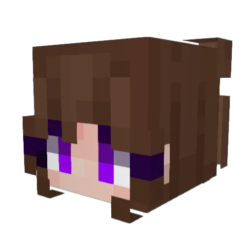 xX_JaeTHEFox_Xx Minecraft avatar head, 3D render