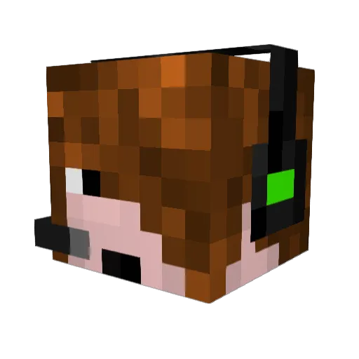 xX_TaDa_Xx_HeRo Minecraft avatar head, 3D render