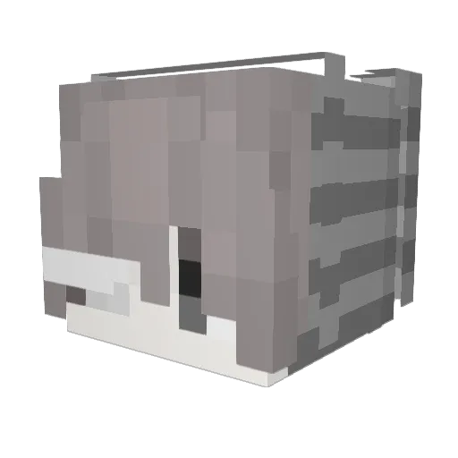 xX_TuKchero69_Xx Minecraft avatar head, 3D render