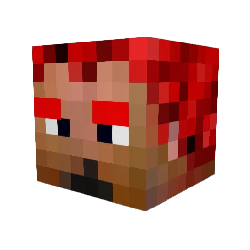 xX_Vicious_Xx Minecraft avatar head, 3D render
