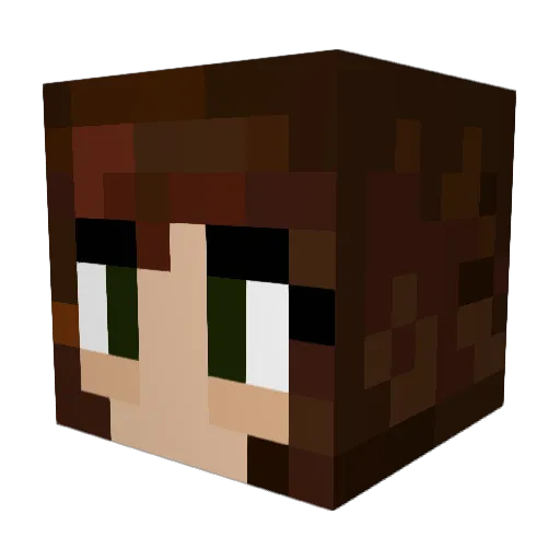 xX__Rai__Xx Minecraft avatar head, 3D render