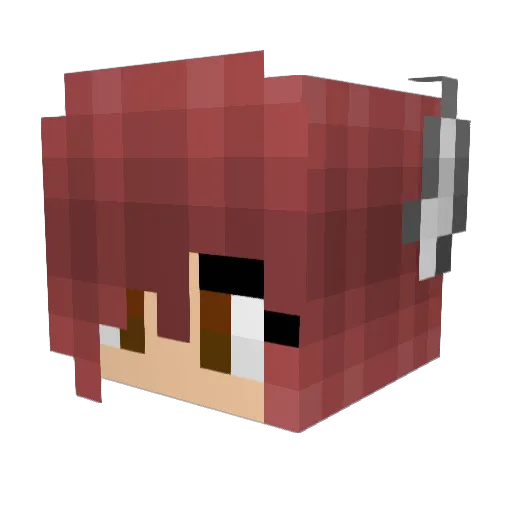 xX_alpha_yeen_Xx Minecraft avatar head, 3D render
