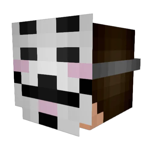 xX_demo_Xx Minecraft avatar head, 3D render