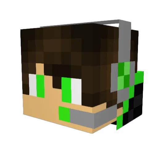 xXalexrulesXx Minecraft avatar head, 3D render