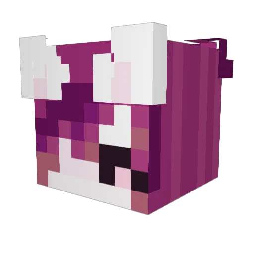 xXbunfettiXx Minecraft avatar head, 3D render