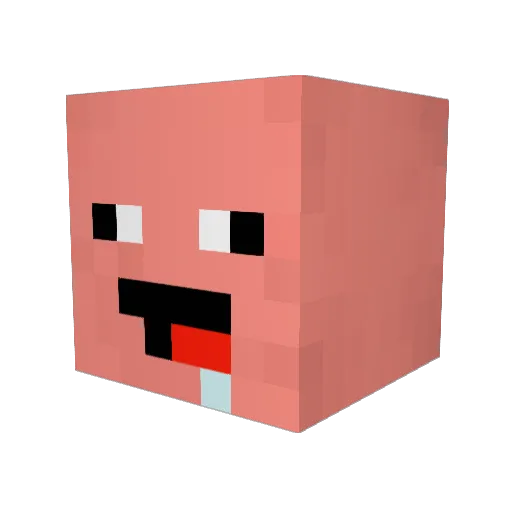 xXcookieXx06 Minecraft avatar head, 3D render