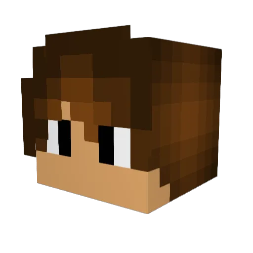 xXdungeonsrfunXx Minecraft avatar head, 3D render