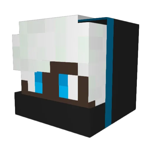 xXfusionmasterXx Minecraft avatar head, 3D render