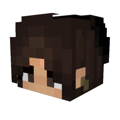 xXheromcXx Minecraft avatar head, 3D render